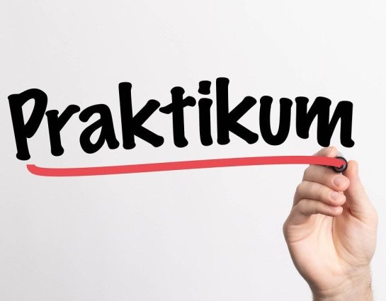 Ein weiterer neuer Mensch im Team des Stadtjugendring Potsdam e.V.
